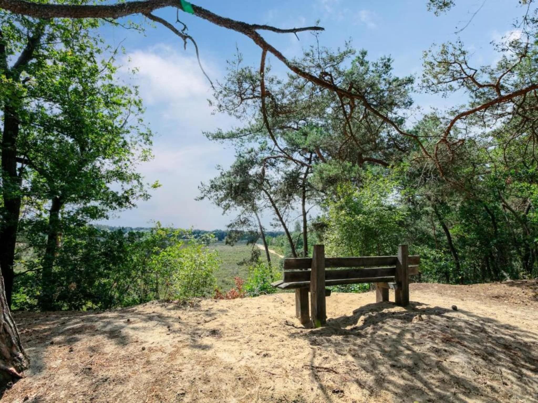 Vakantiepark Sandberghe 9 in Uden - Foto 31 van 40