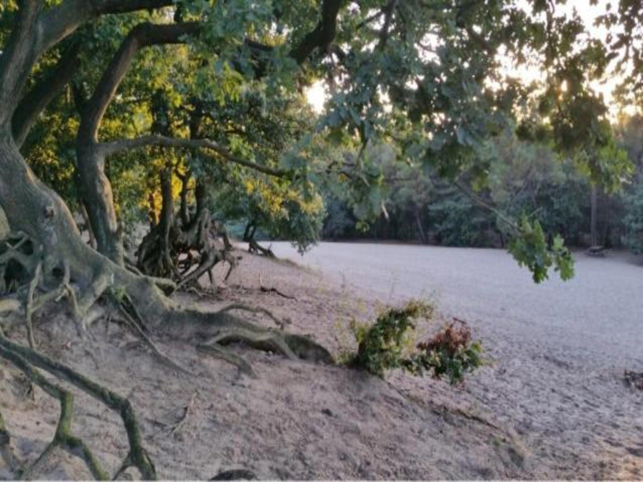 Vakantiepark Sandberghe 10 in Uden - Foto 37 van 40