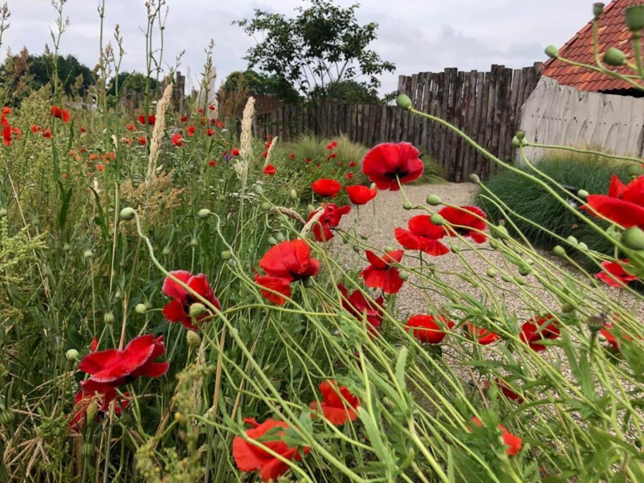 Vakantiepark Sandberghe 10 in Uden - Foto 36 van 40
