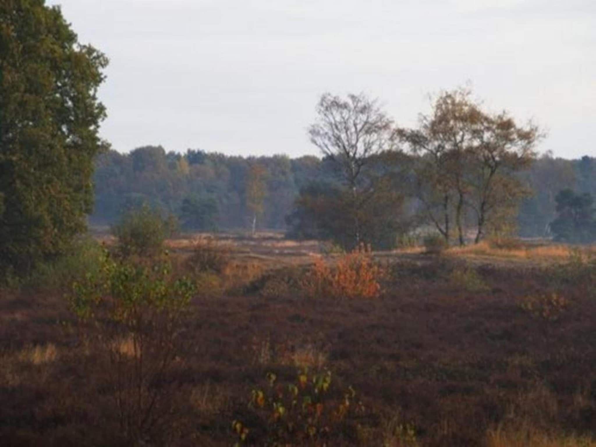 Vakantiepark Sandberghe 11 in Uden - Foto 35 van 40