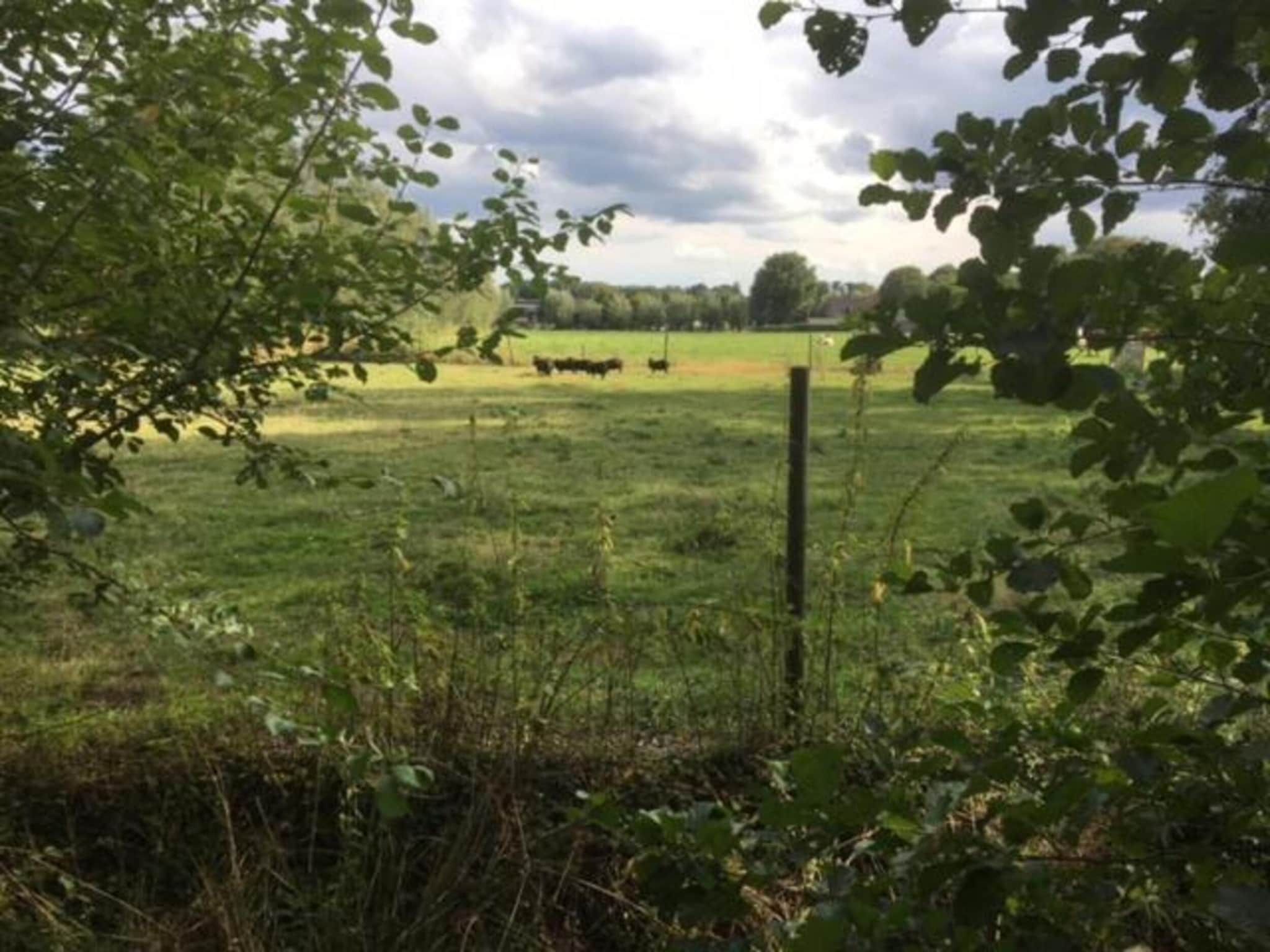 Vakantiepark Sandberghe 11 in Uden - Foto 33 van 40