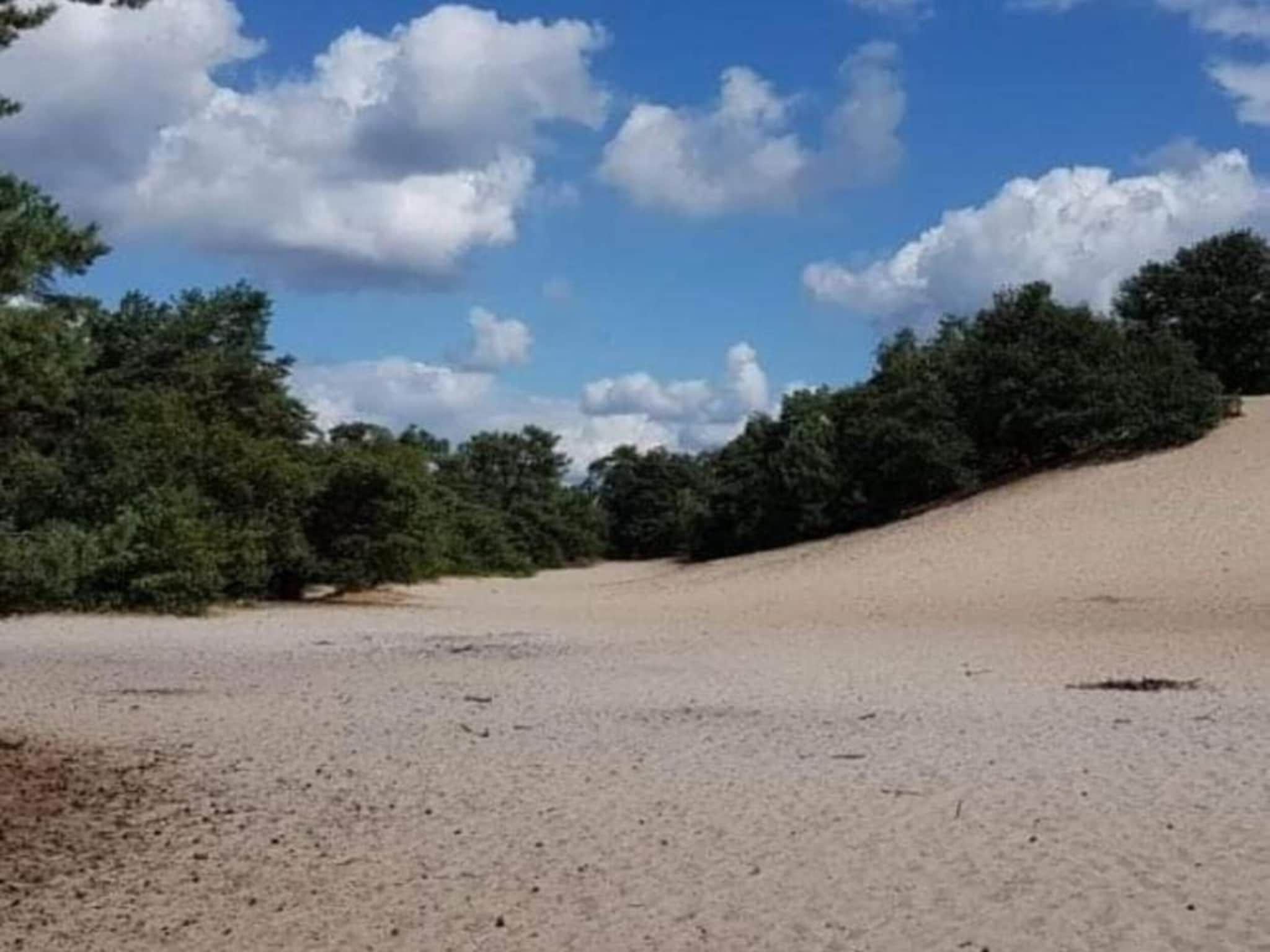 Vakantiepark Sandberghe 11 in Uden - Foto 29 van 40