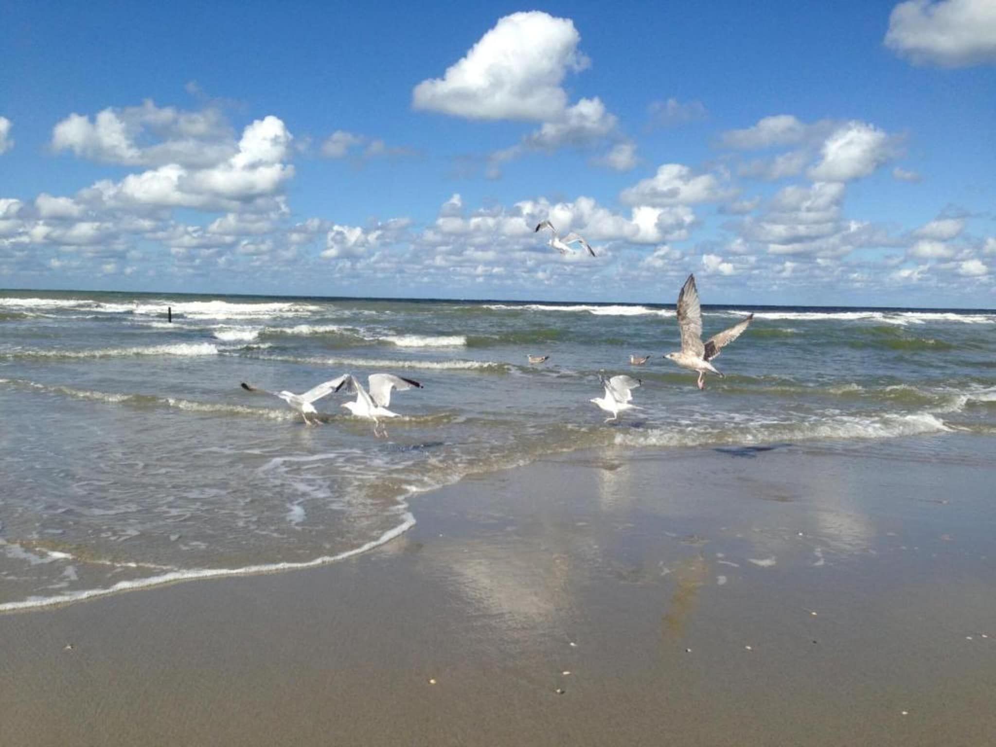 Strandpark Vlugtenburg 12 in 's-Gravenzande - Foto 35 van 37