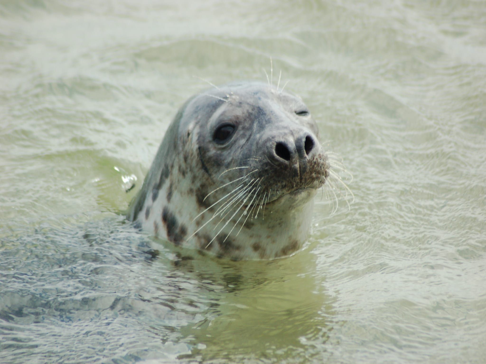Sfeerbeeld van Kustpark Texel 12 in De Koog