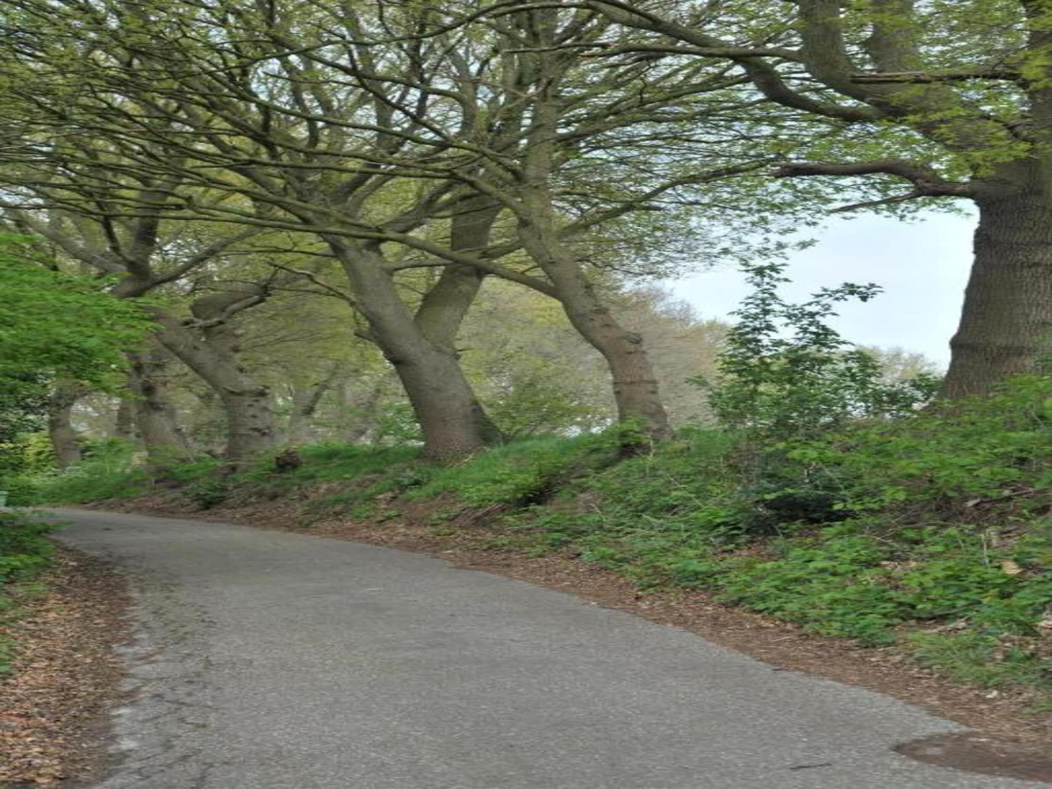 Resort Waterrijk Oesterdam 1 in Tholen - Foto 40 van 40