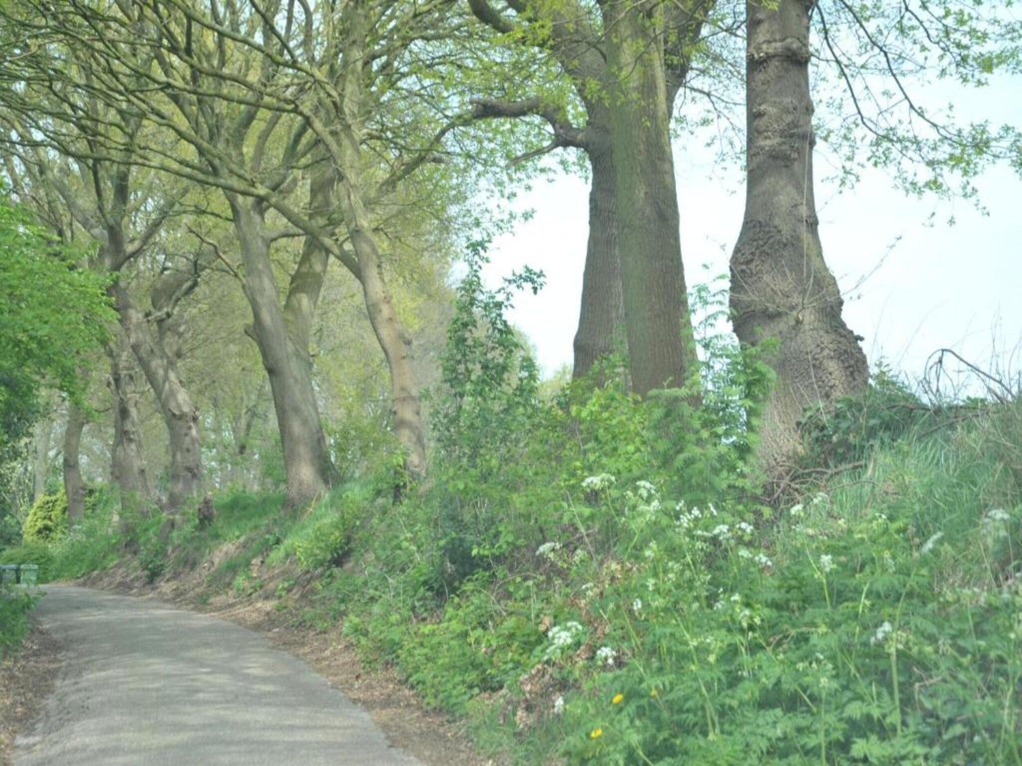 Resort Waterrijk Oesterdam 2 in Tholen - Foto 32 van 40