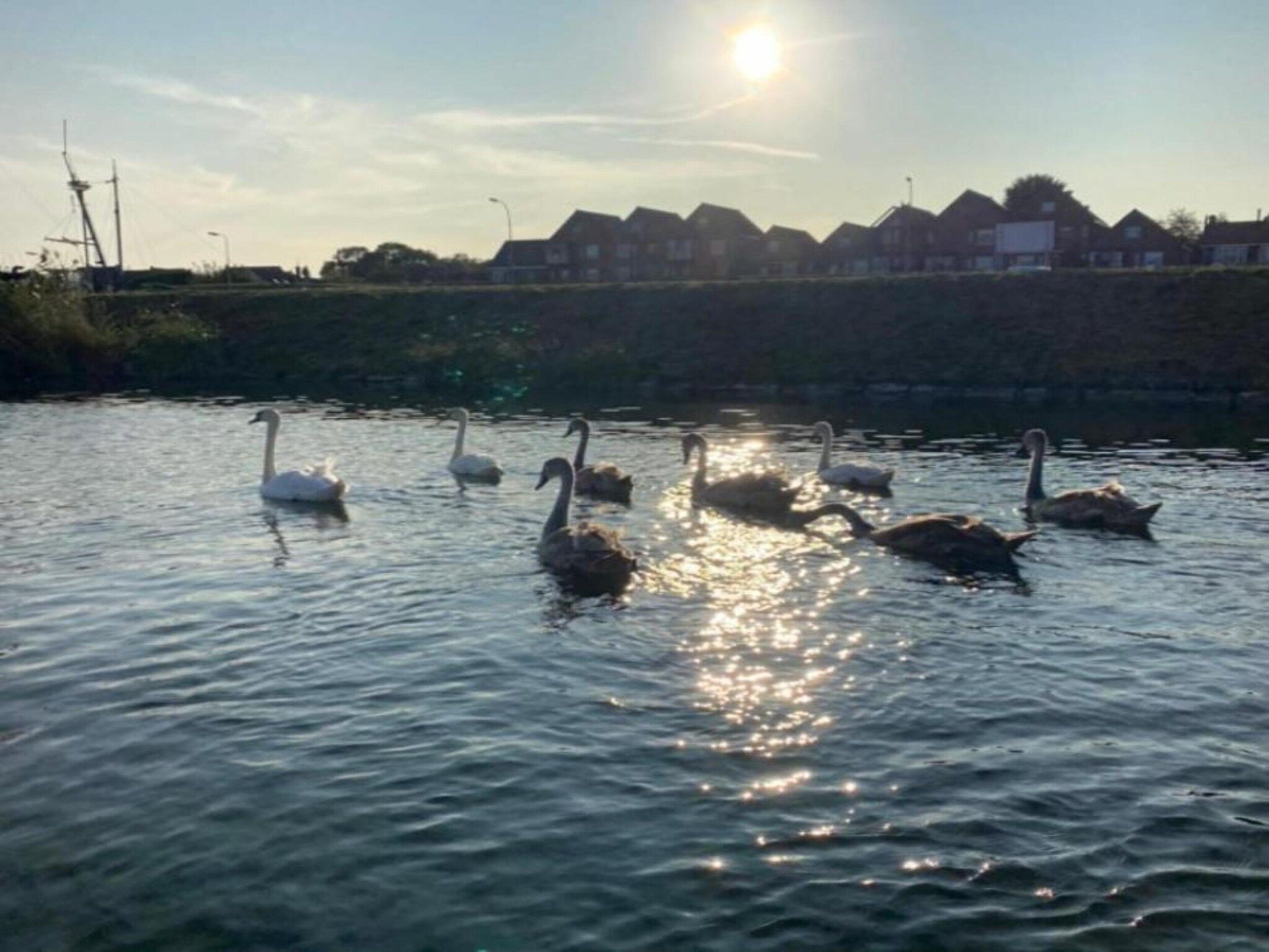 Resort Waterrijk Oesterdam 2 in Tholen - Foto 26 van 40