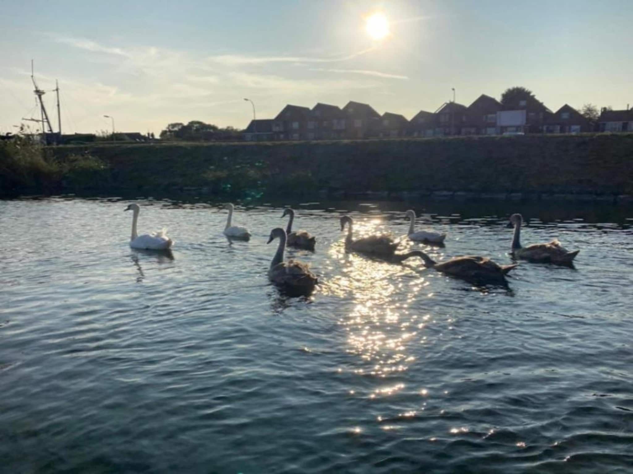 Resort Waterrijk Oesterdam 3 in Tholen - Foto 36 van 40