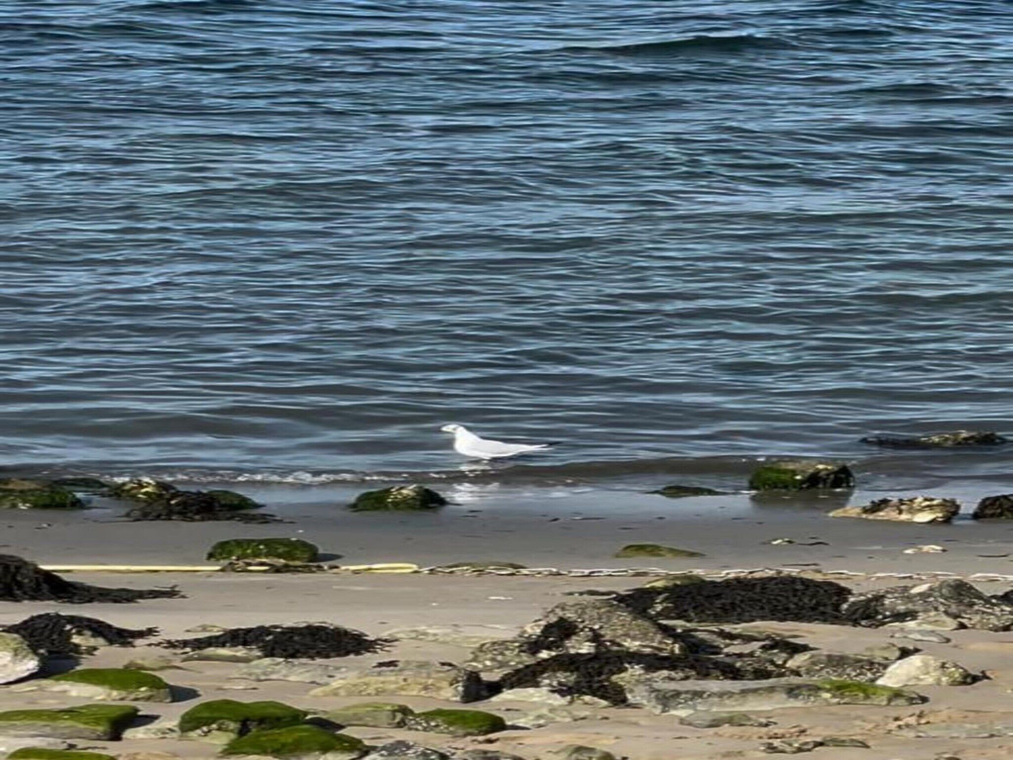 Resort Waterrijk Oesterdam 3 in Tholen - Foto 34 van 40