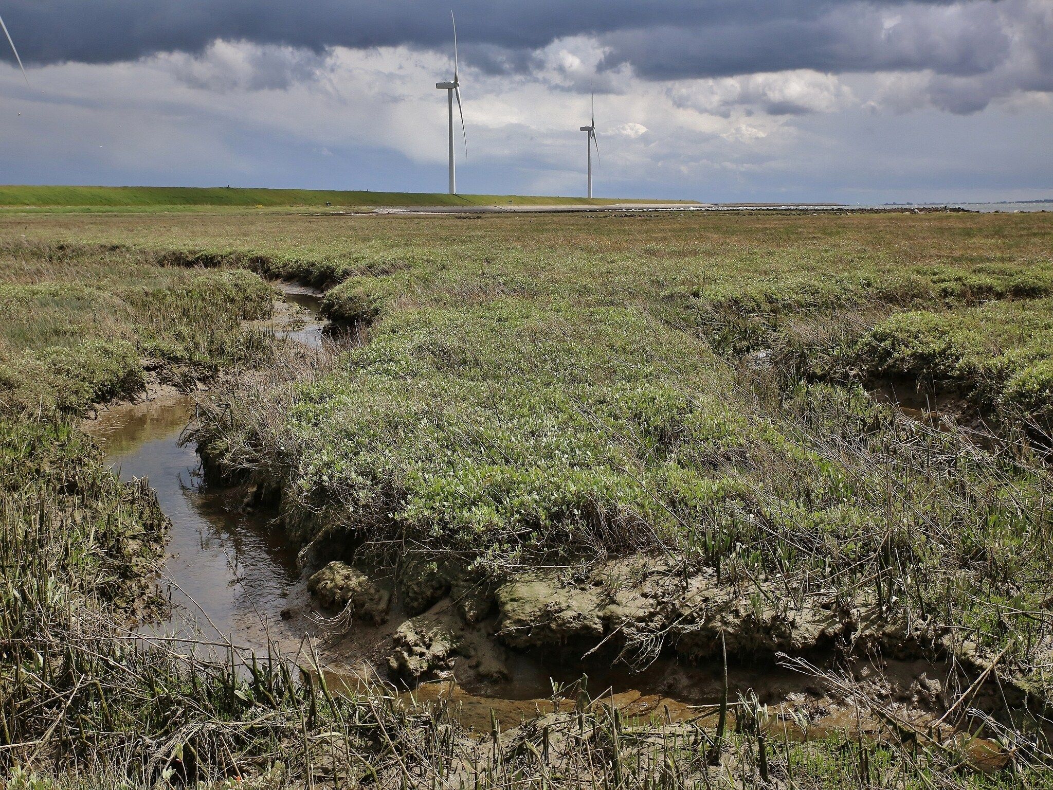 De omgeving van Water Resort Oosterschelde 39 in Wemeldinge