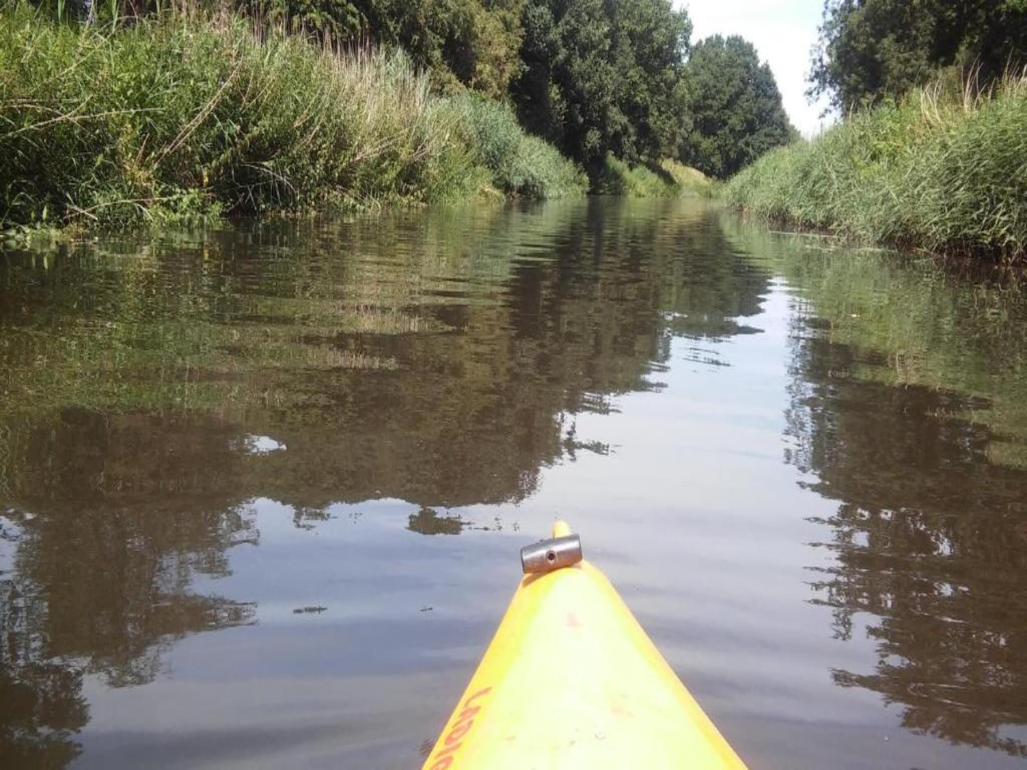 Landgoed De IJsvogel 8 in Voorthuizen - Foto 35 van 40