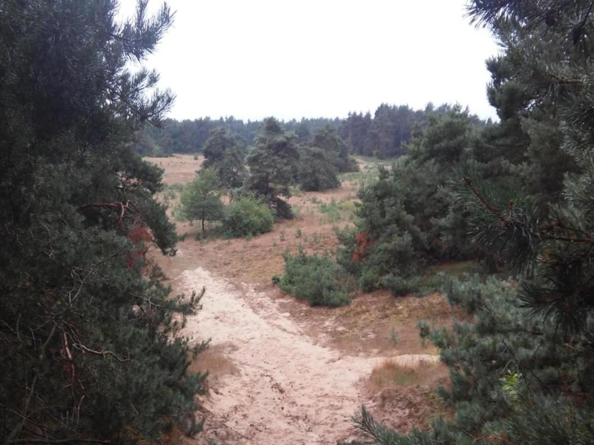 Landgoed De IJsvogel 8 in Voorthuizen - Foto 33 van 40