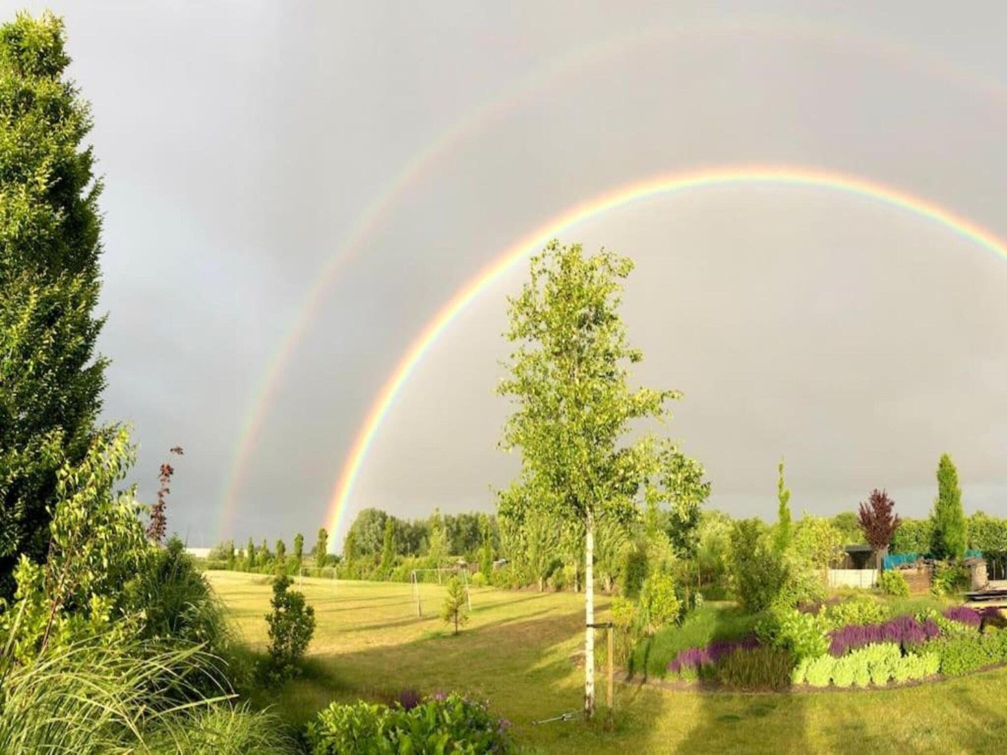 Resort Waterrijk Oesterdam 8 in Tholen - Foto 39 van 40