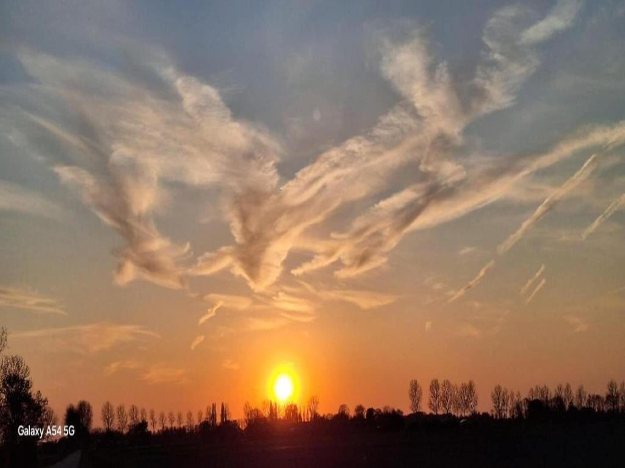 Resort Waterrijk Oesterdam 12 in Tholen - Foto 21 van 40