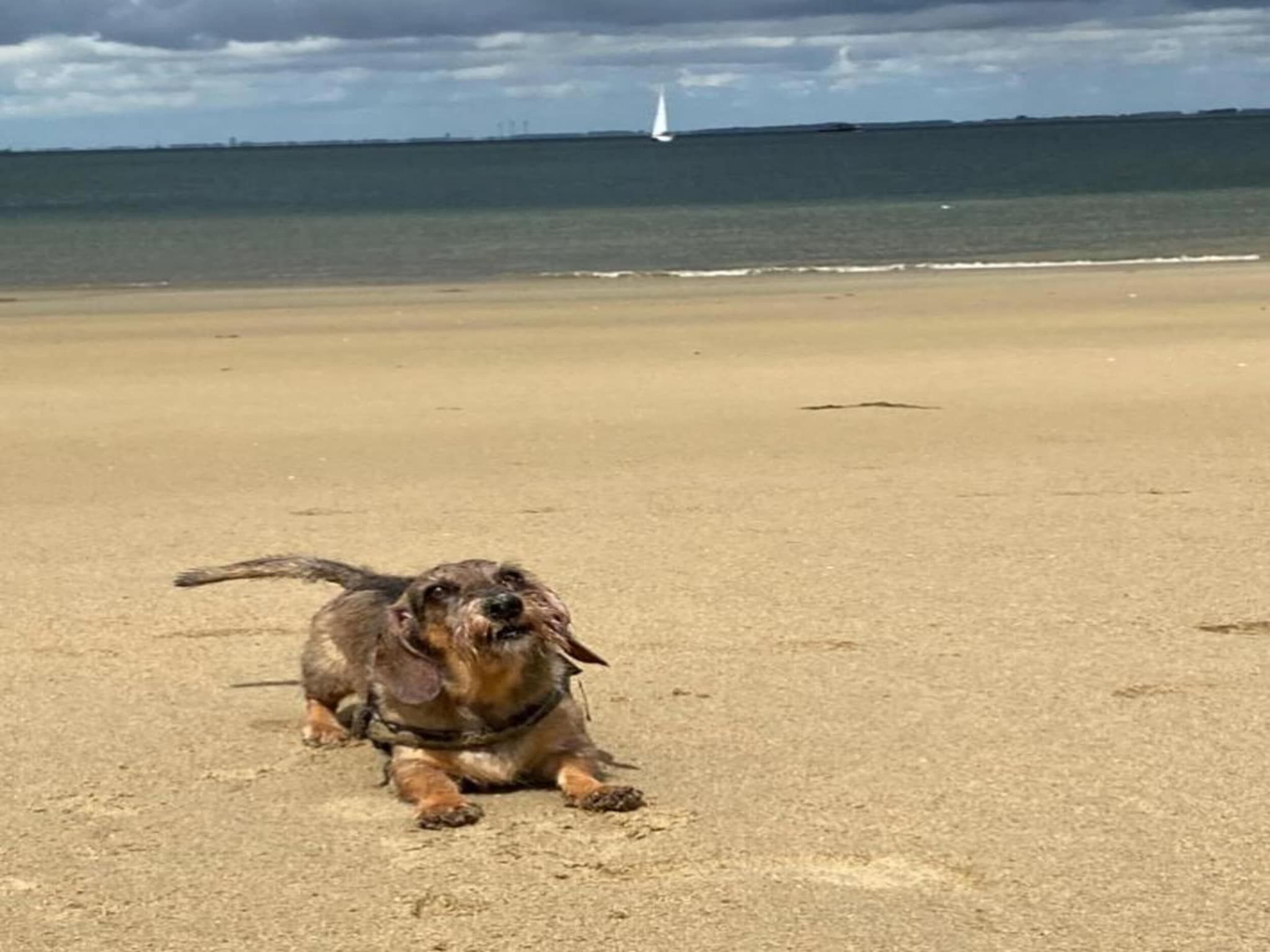 Resort Waterrijk Oesterdam 13 in Tholen - Foto 33 van 40