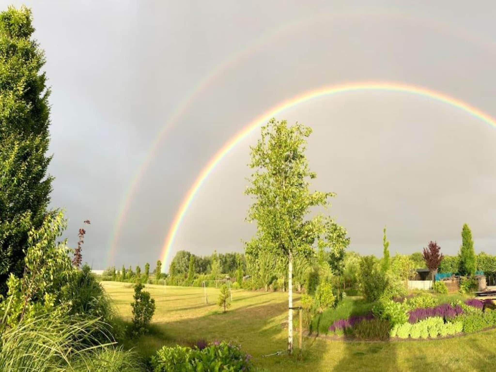 Resort Waterrijk Oesterdam 16 in Tholen - Foto 22 van 40