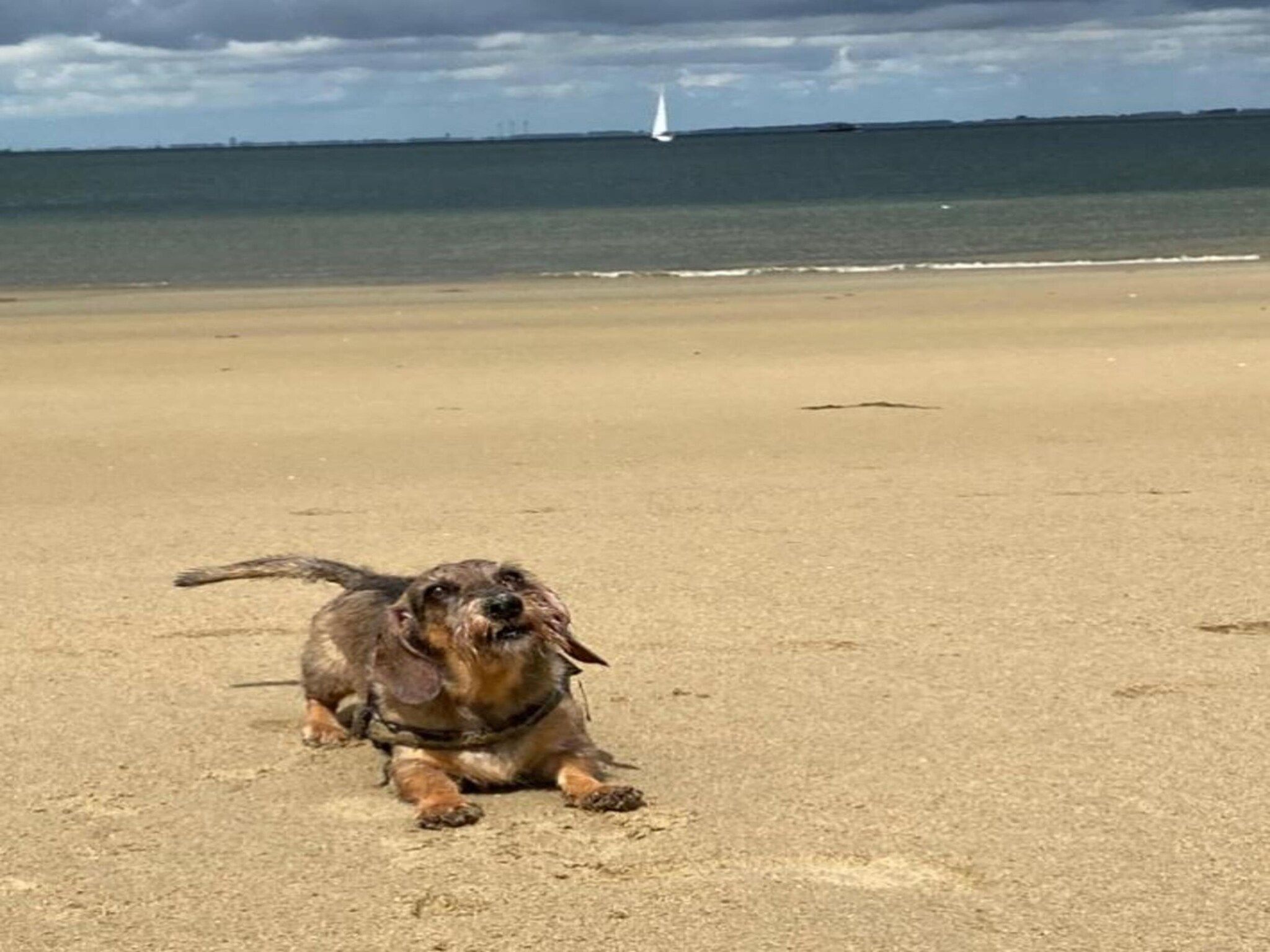 Resort Waterrijk Oesterdam 16 in Tholen - Foto 33 van 40