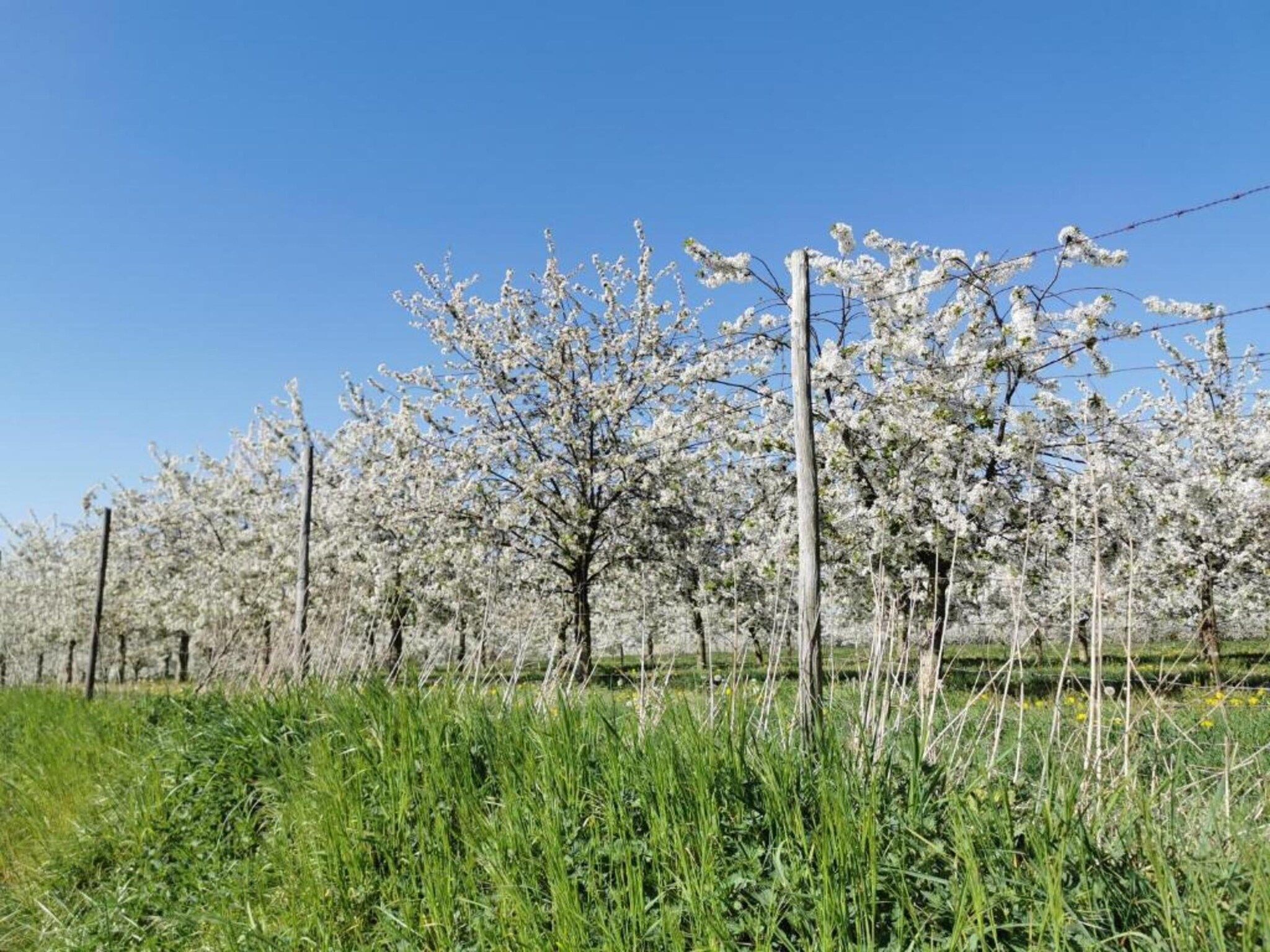 Resort Maastricht 18 in Maastricht - Foto 24 van 37