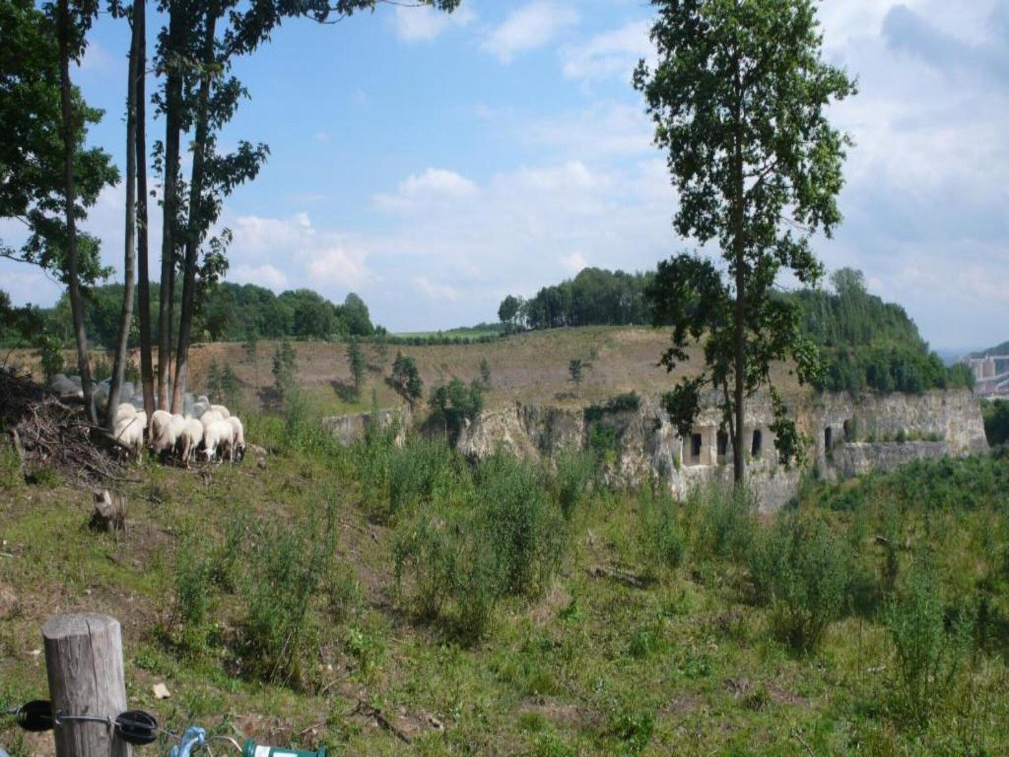 Resort Maastricht 17 in Maastricht - Foto 33 van 40