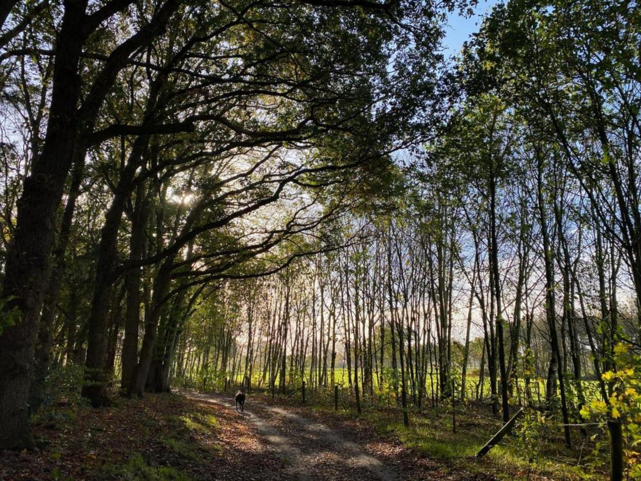 Vakantiepark De Lochemse Berg 1 in Lochem - Foto 27 van 40