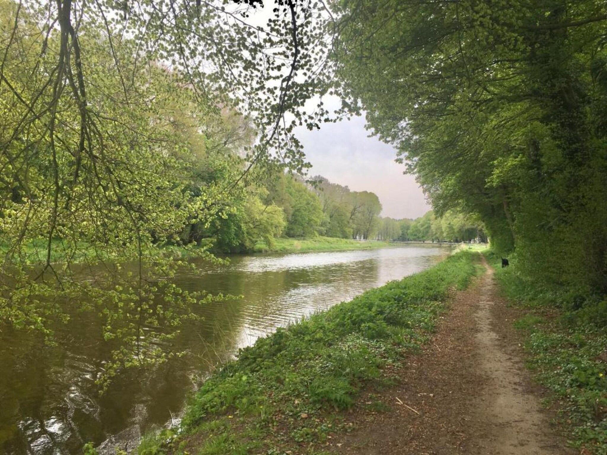 Vakantiepark De Lochemse Berg 1 in Lochem - Foto 36 van 40