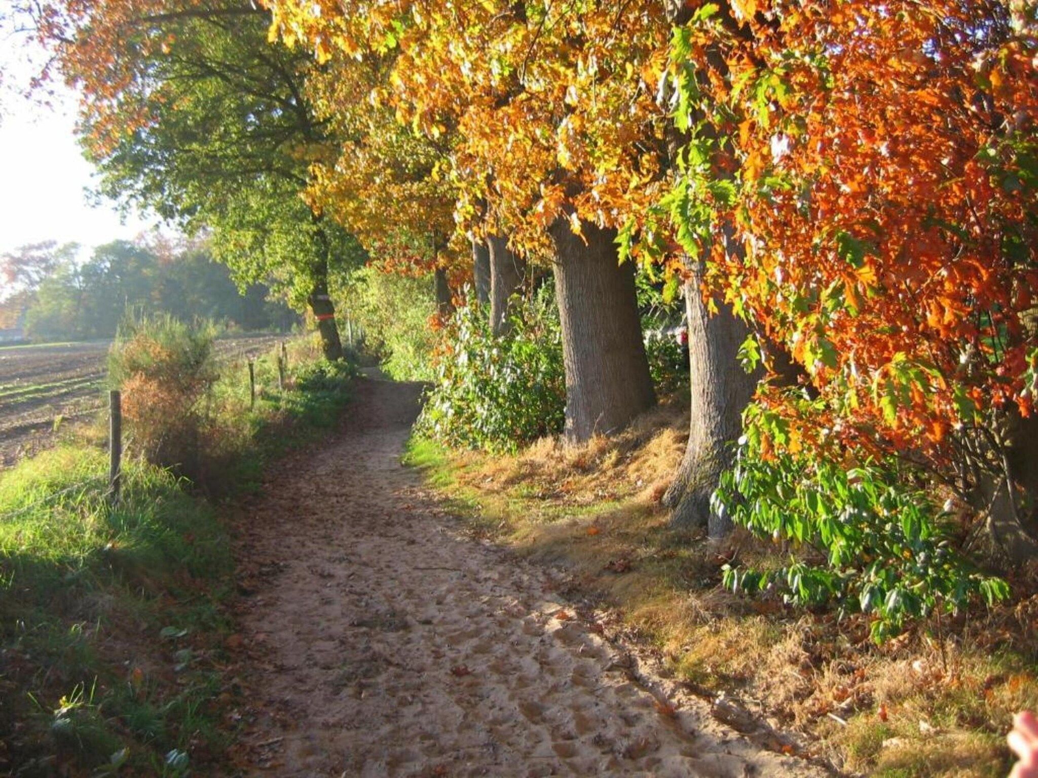 Vakantiepark De Lochemse Berg 1 in Lochem - Foto 22 van 40