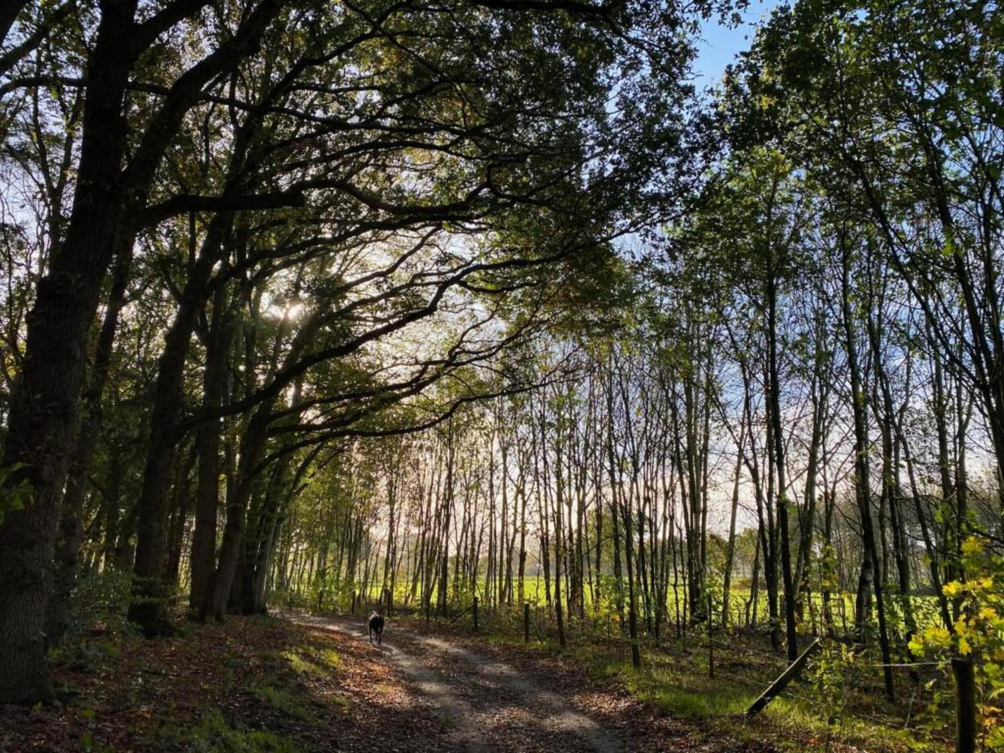 Vakantiepark De Lochemse Berg 2 in Lochem - Foto 27 van 40