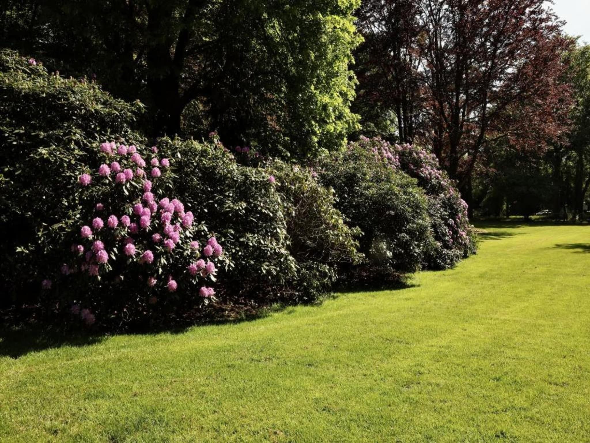 Vakantiepark De Lochemse Berg 2 in Lochem - Foto 30 van 40