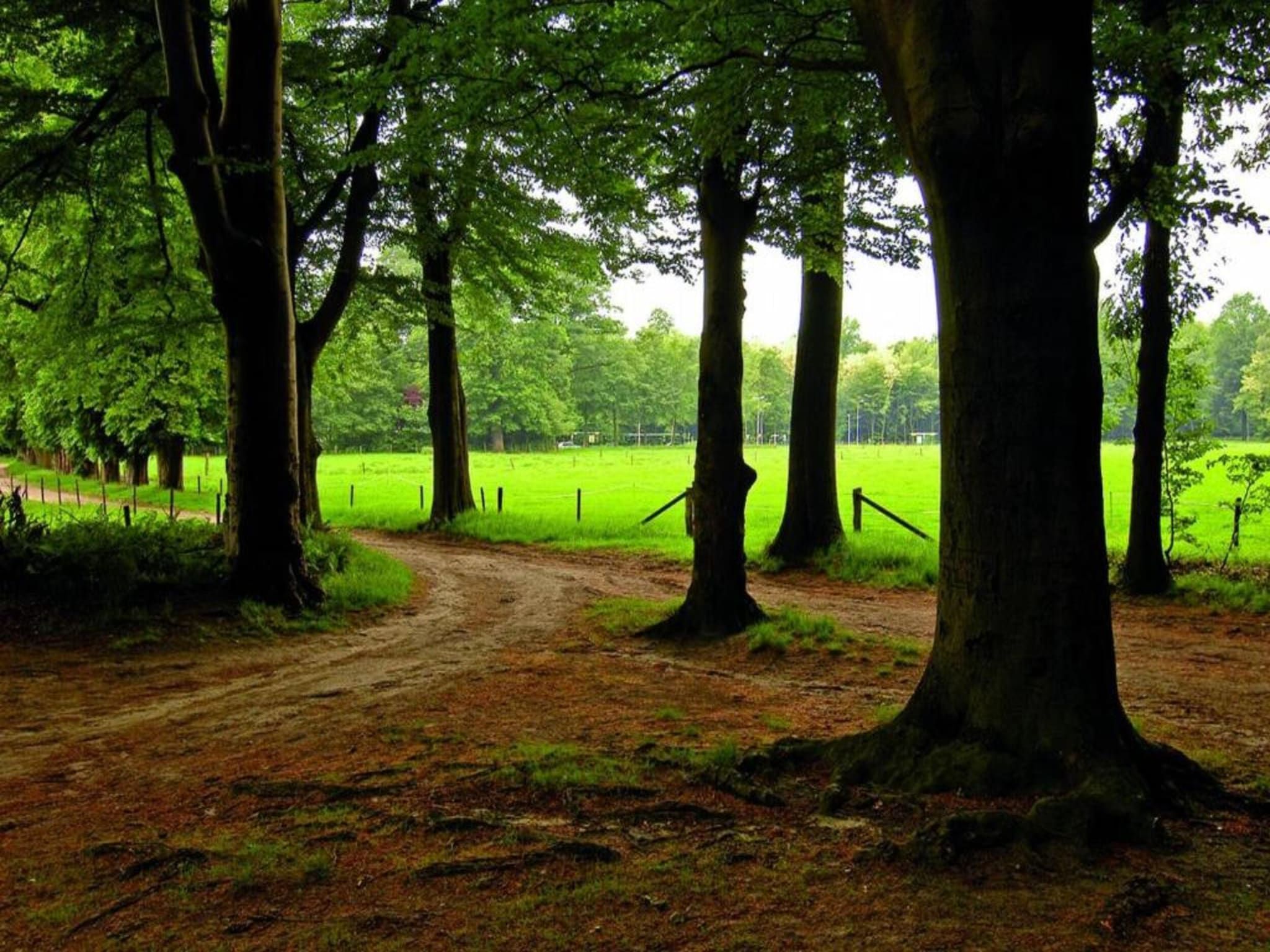 Vakantiepark De Lochemse Berg 2 in Lochem - Foto 32 van 40