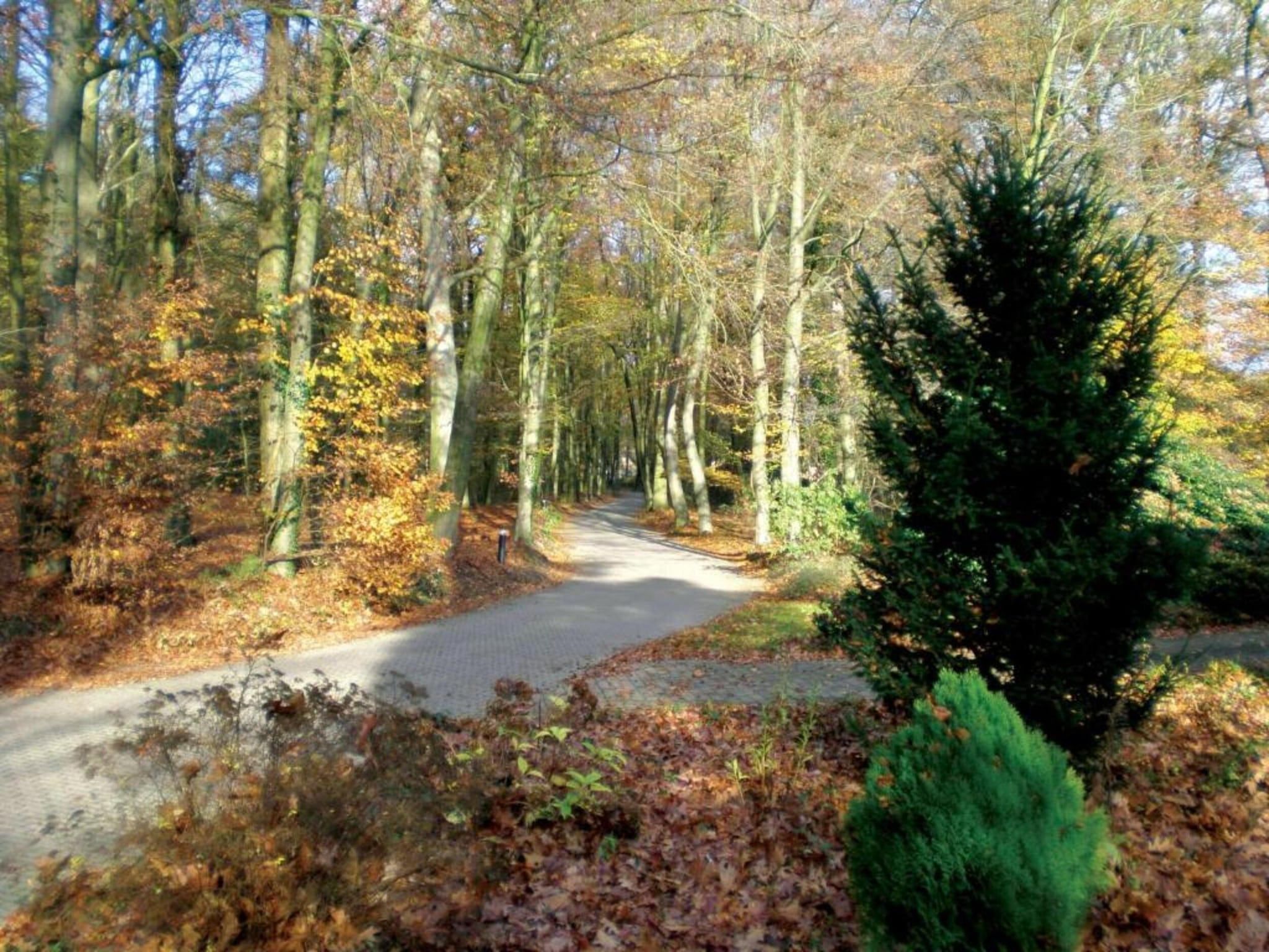 Vakantiepark De Lochemse Berg 2 in Lochem - Foto 38 van 40