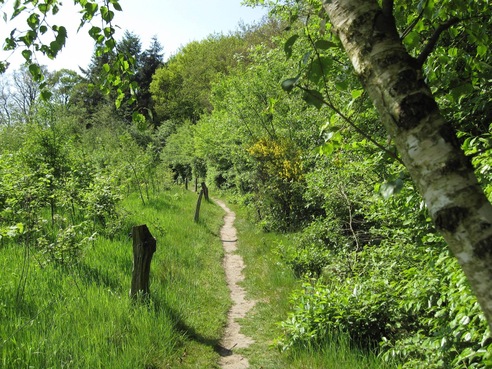 De Grimberghoeve 1 in Notter - Foto 10 van 32