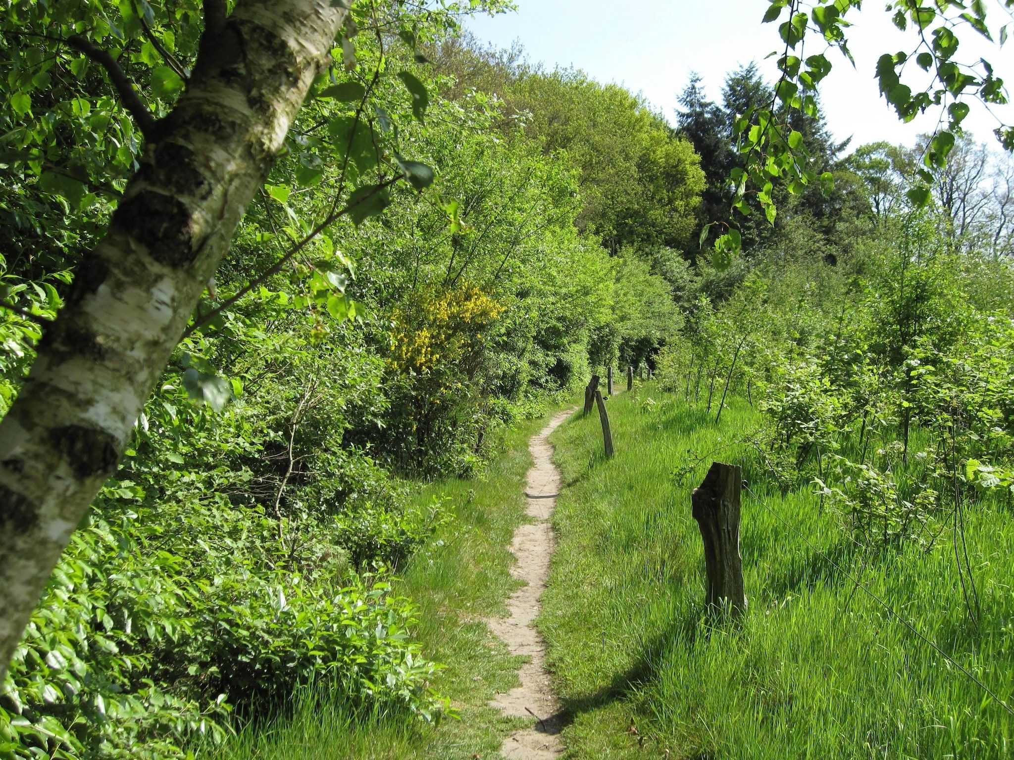 De Grimberghoeve 1 in Notter - Foto 23 van 32