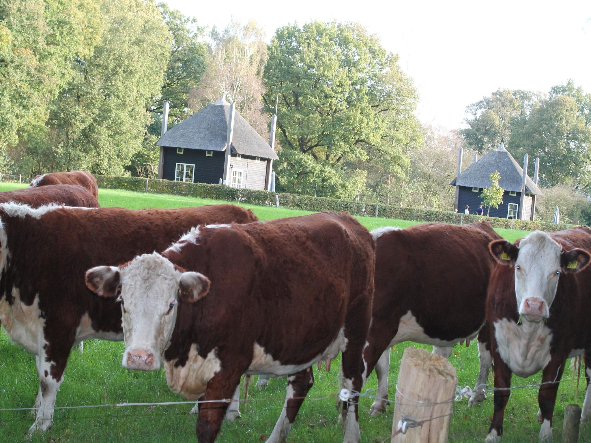 De Grimberghoeve 1 in Notter - Foto 24 van 32