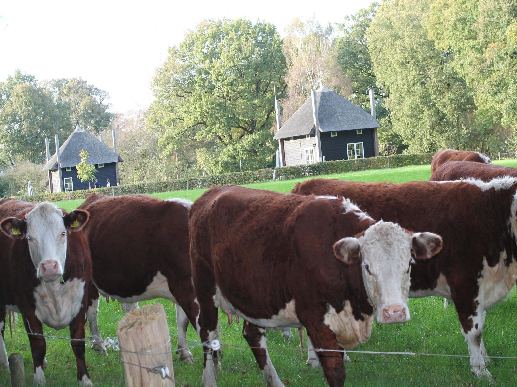 Voorzieningen bij De Grimberghoeve 2 in Notter