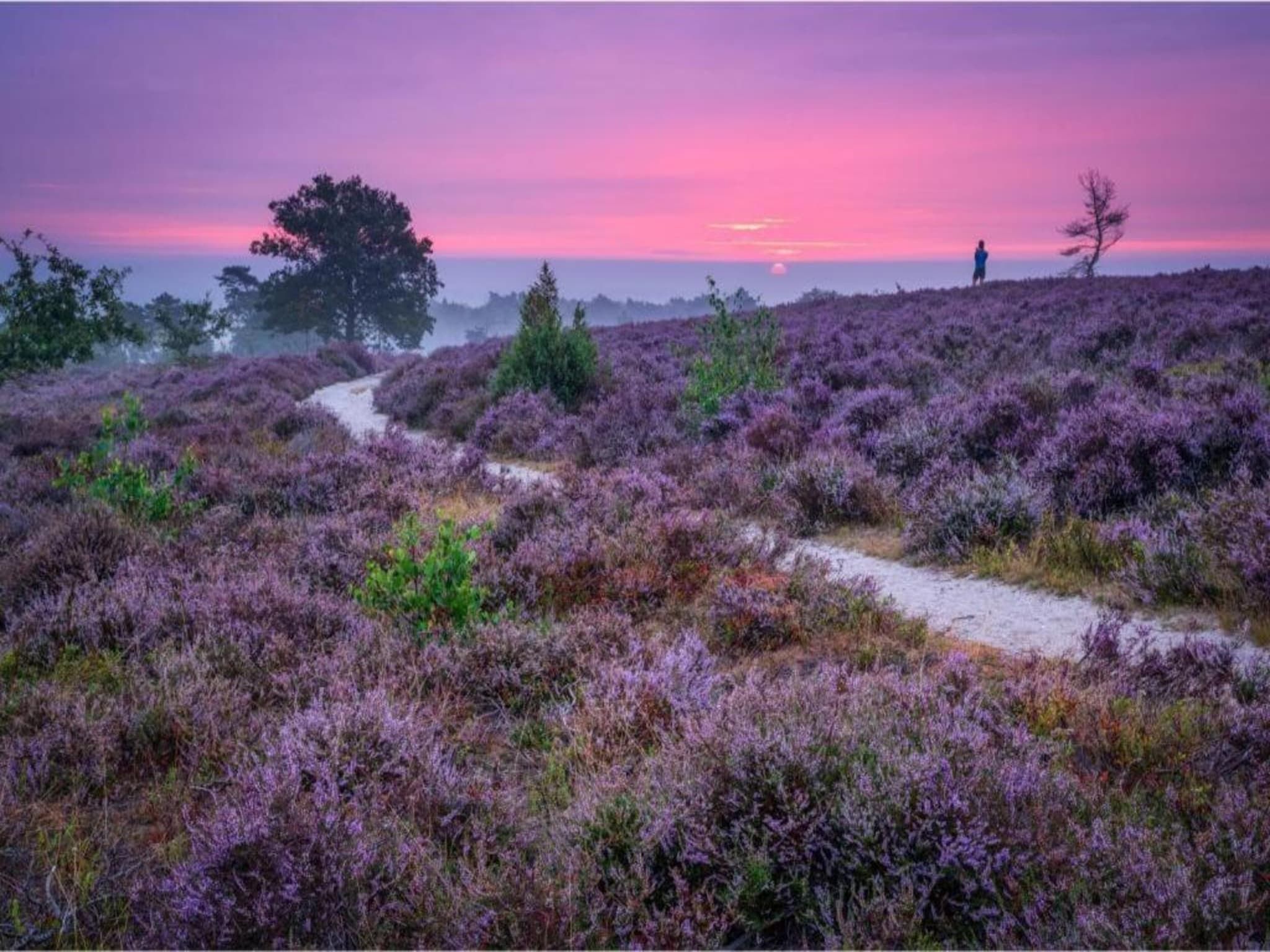 De omgeving van Buitenplaats Holten 7 in Rijssen