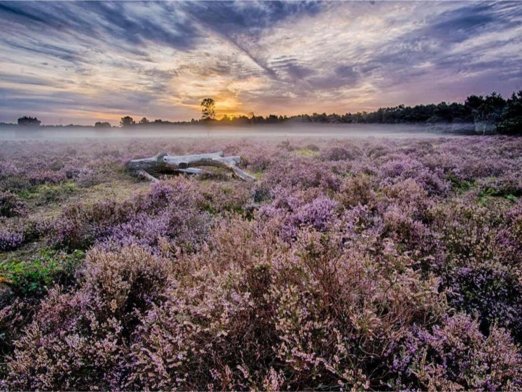 De omgeving van Buitenplaats Holten 7 in Rijssen