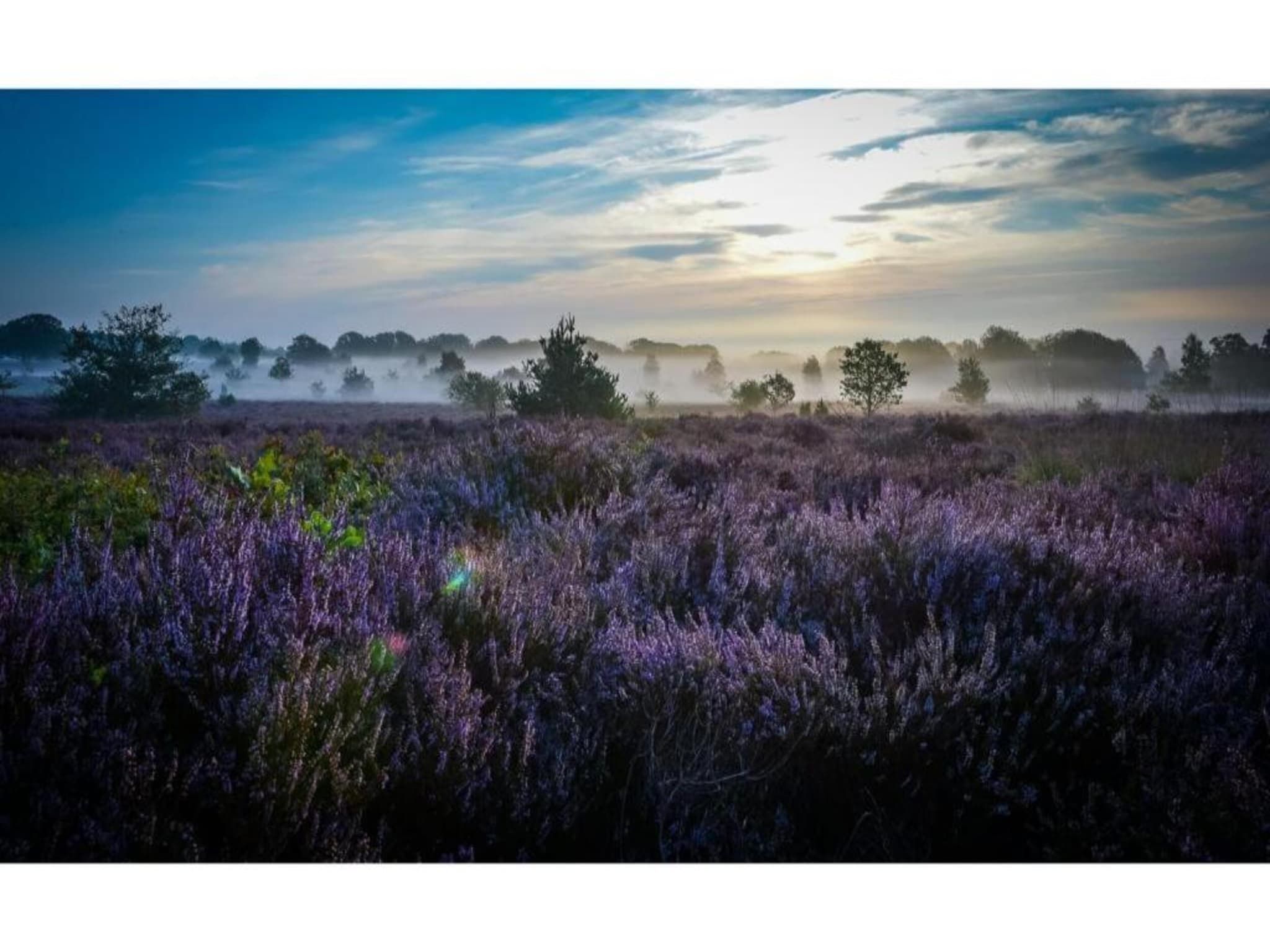 De omgeving van Buitenplaats Holten 7 in Rijssen