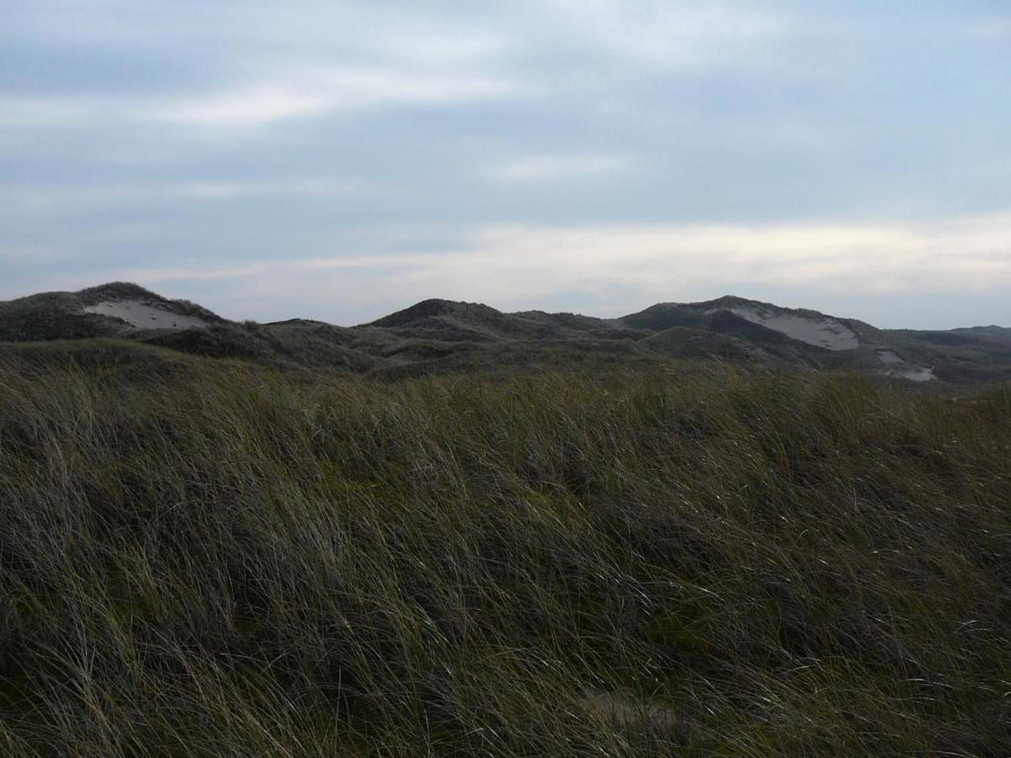 Strandslag 115 in Julianadorp aan Zee - Foto 32 van 40