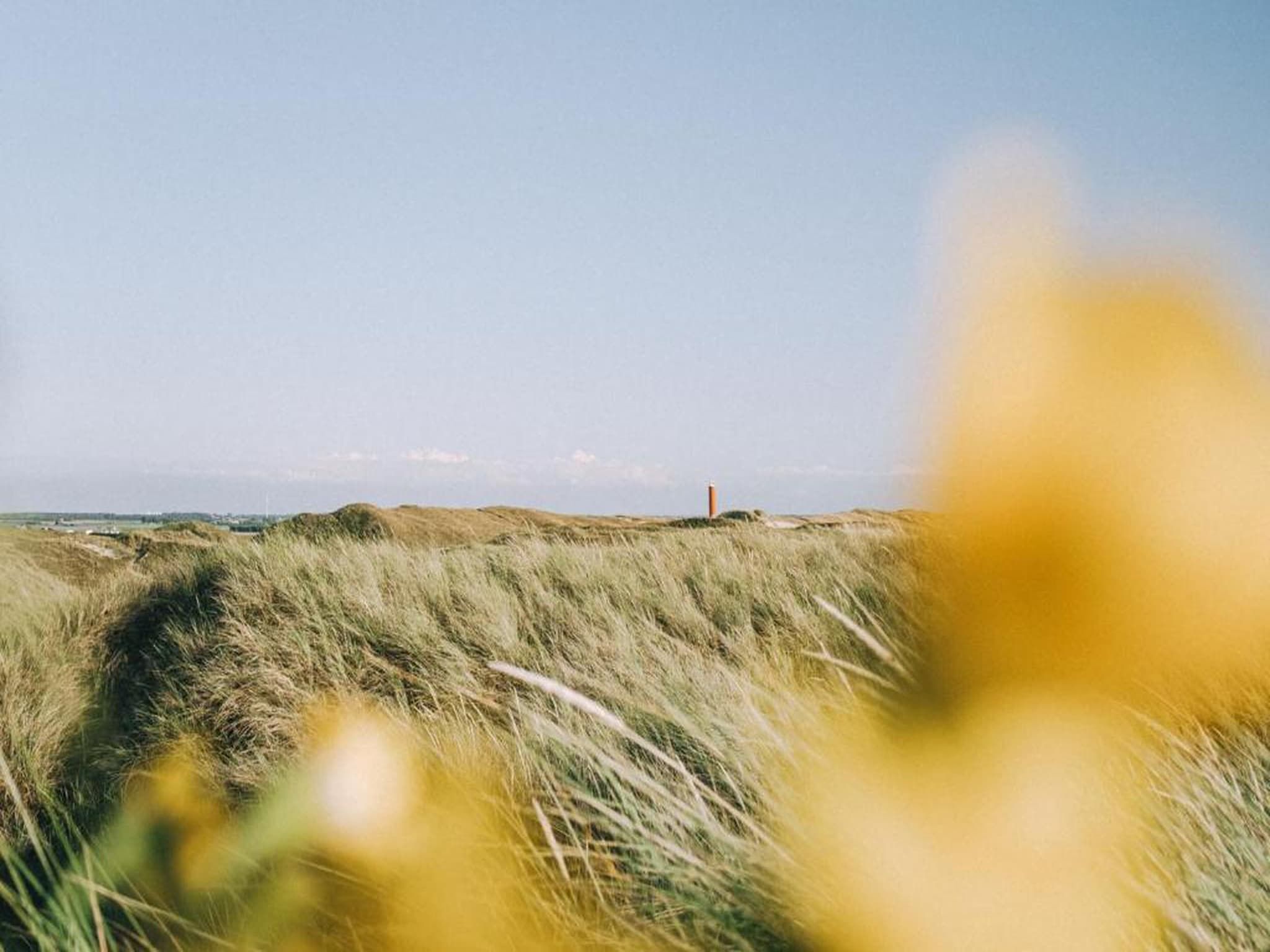 Strandslag 115 in Julianadorp aan Zee - Foto 27 van 40