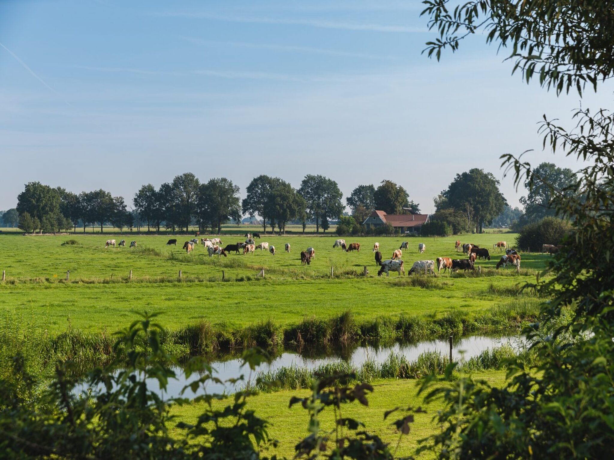 De omgeving van Vakantiepark Mölke 25 in Zuna