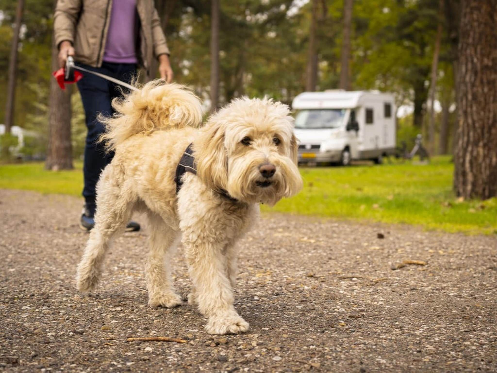 Parkfaciliteiten bij Bospark 't Wolfsven 9 in Mierlo