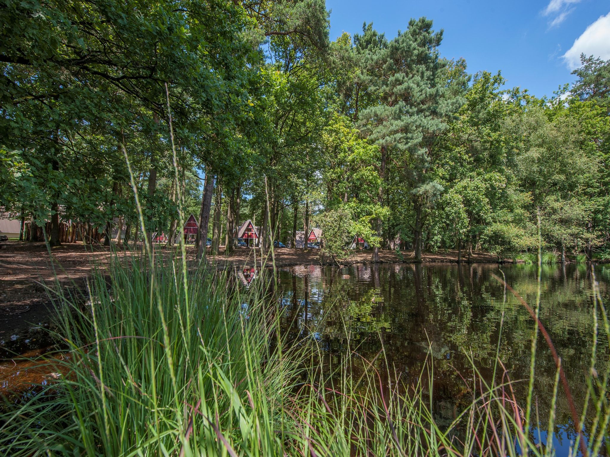 De omgeving van Bospark 't Wolfsven 11 in Mierlo