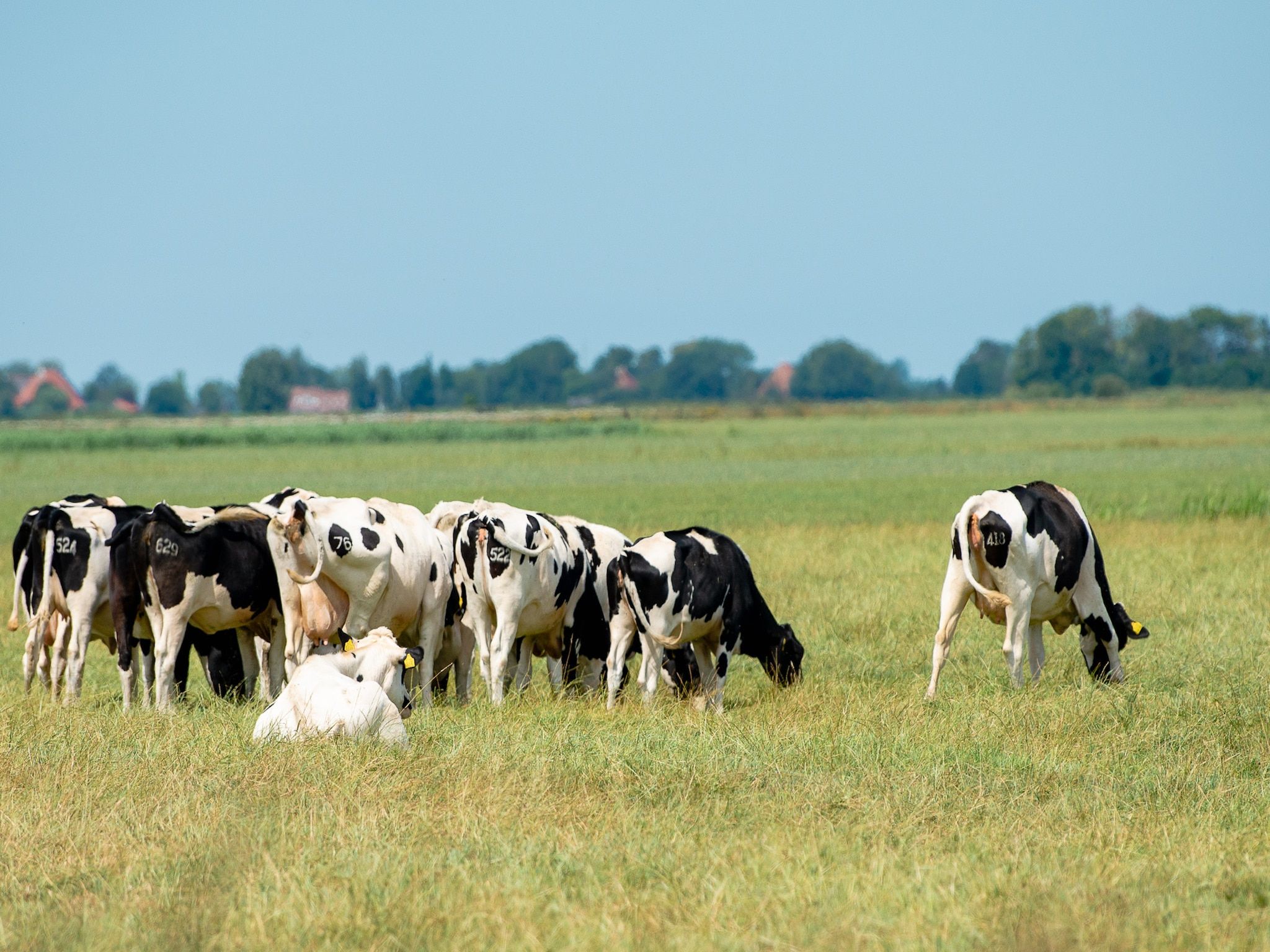 Sfeerbeeld van Waterpark Langelille 2 in Langelille