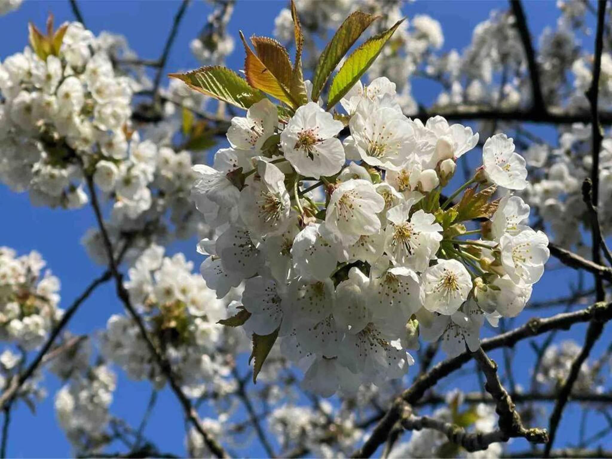 Waterpark Langelille 2 in Langelille - Foto 29 van 38