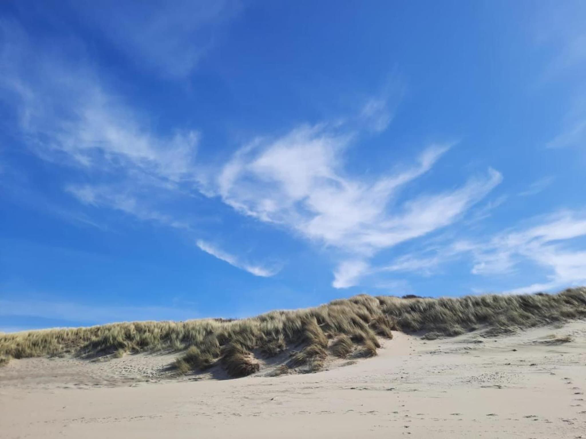 De omgeving van Fort den Haak - Chalet 1 tm 15  hond in Vrouwenpolder