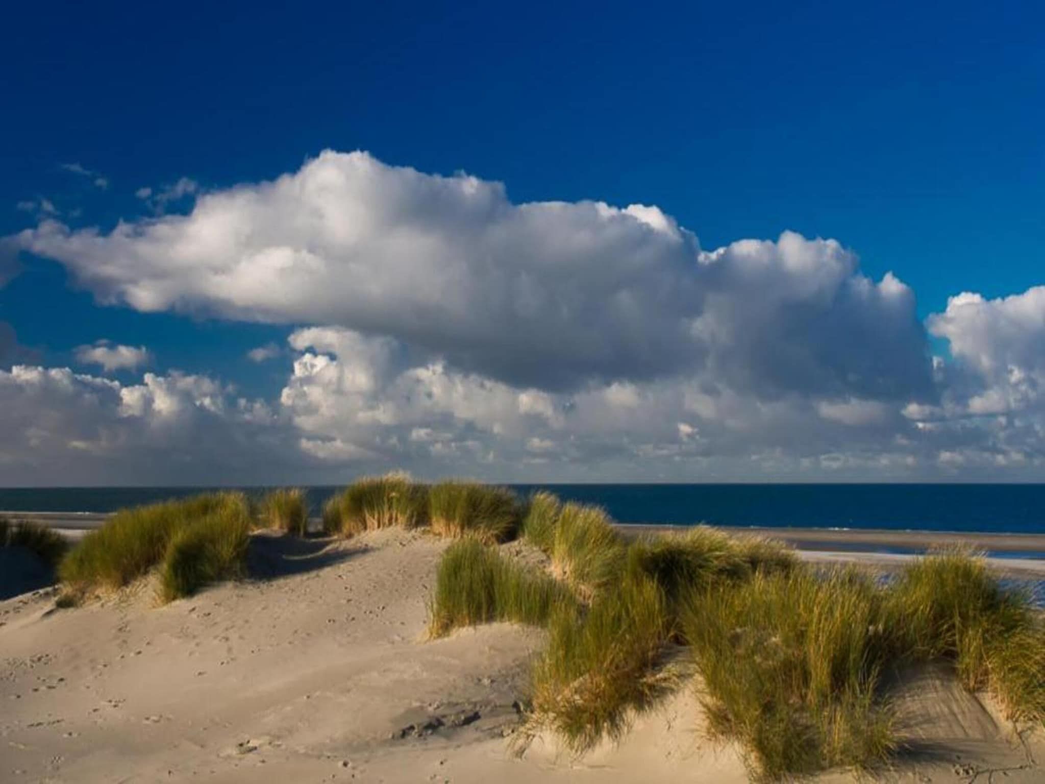 De omgeving van Fort den Haak - Chalet 1 tm 15  hond in Vrouwenpolder