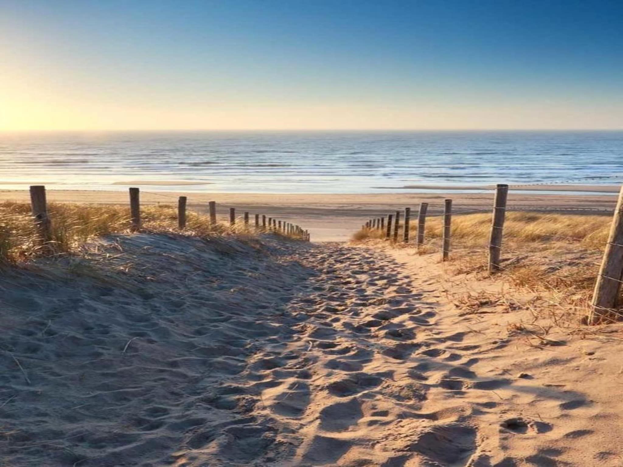 De omgeving van Fort den Haak - Chalet 1 tm 15  hond in Vrouwenpolder