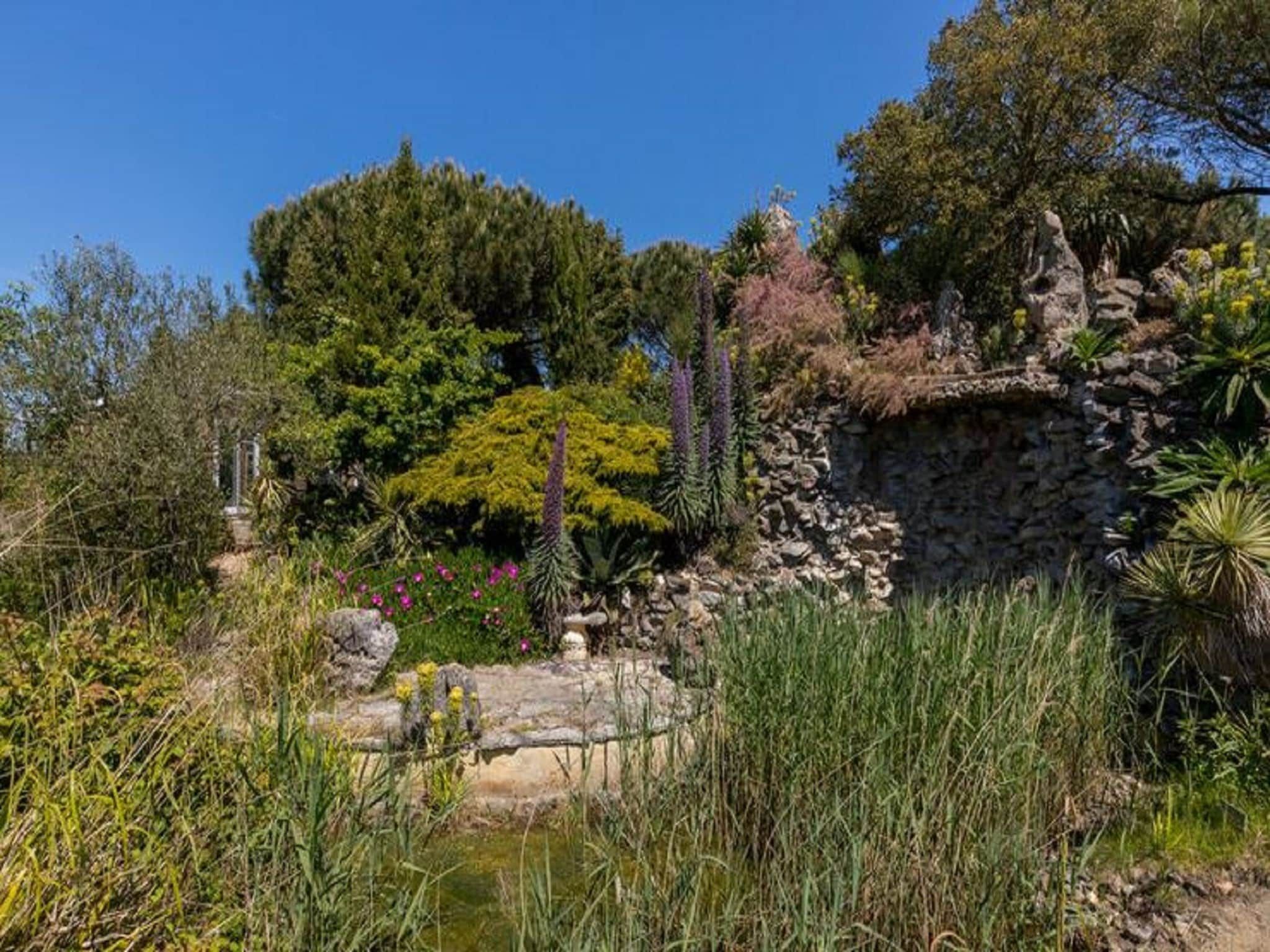 De tuin van Fort den Haak - Chalet 1 t/m 10 huisdiervrij in Vrouwenpolder