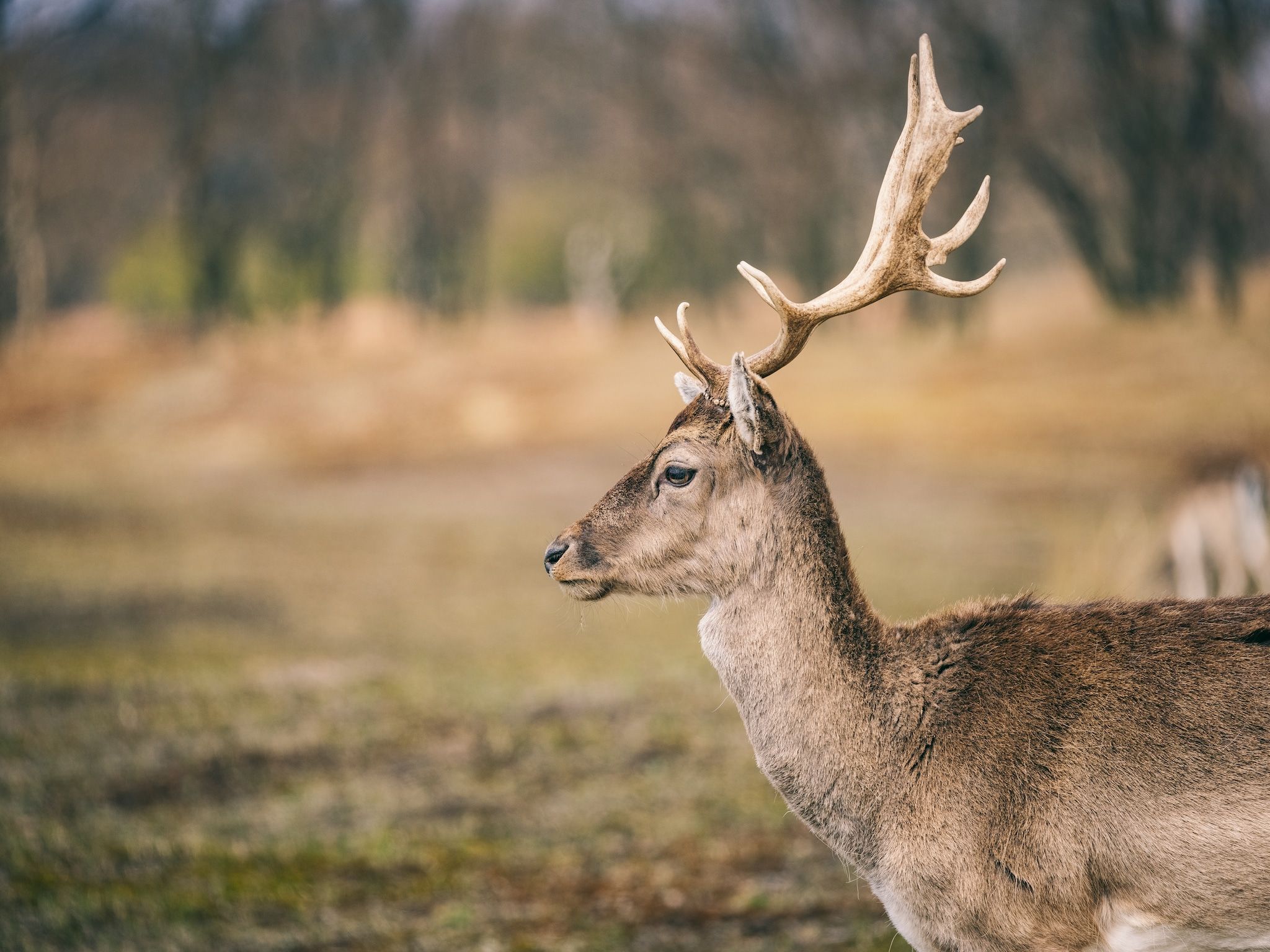 De omgeving van Duinresort Dunimar 2 in Noordwijkerhout