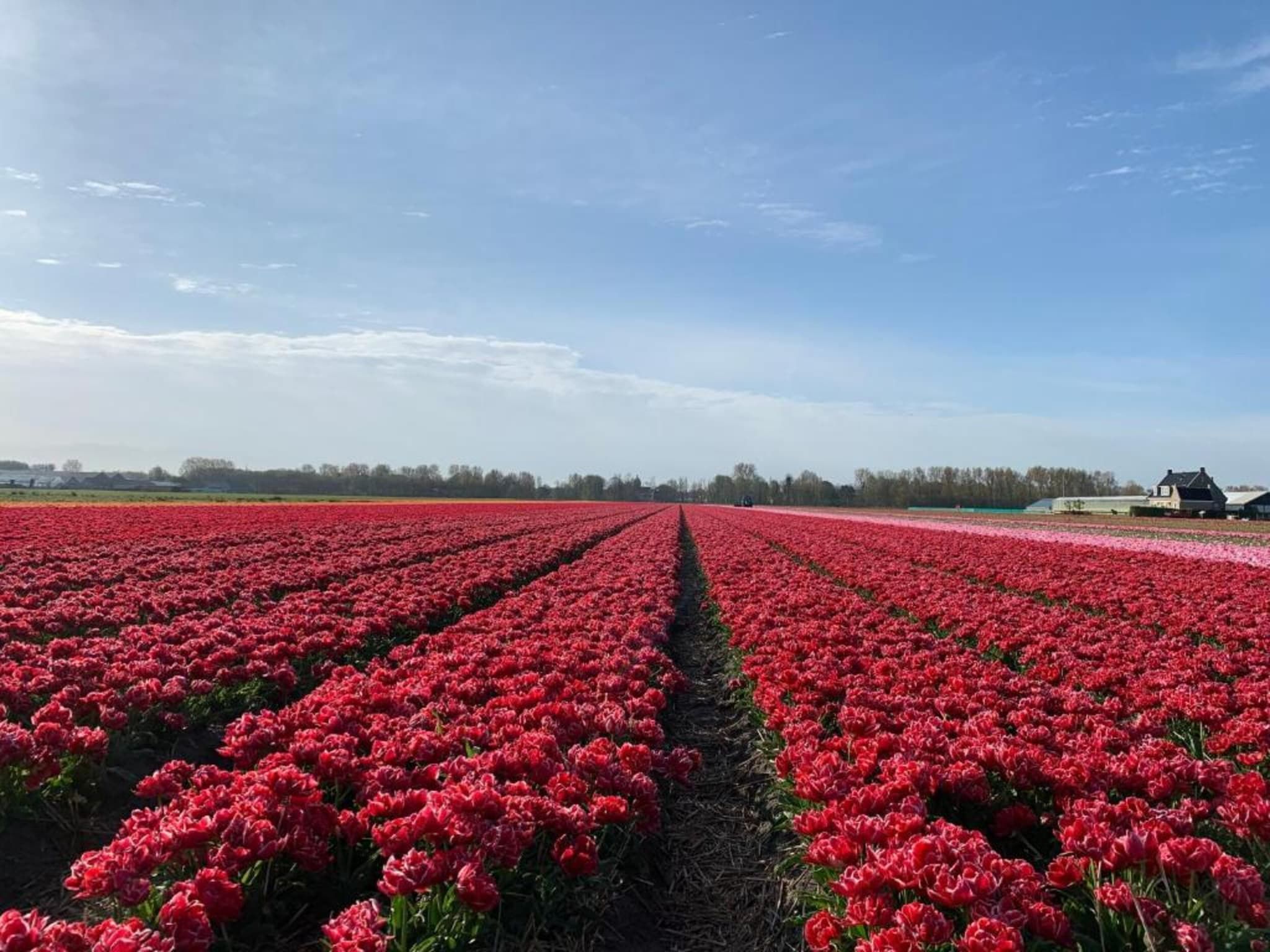 Duinresort Dunimar 2 in Noordwijkerhout - Foto 33 van 41